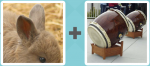 Pictoword level 102 - Bunny Rabbit Ears Drums