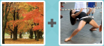 Pictoword level 118 - Trees Fall Autumn Limbo Dance Under Low