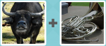 Pictoword level 120 - Bison Buffalo Horn
