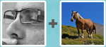 Pictoword level 126 - Glasses Vision Sight See Horse