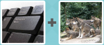 Pictoword level 130 - Key Backspace Wolf Pack Hounds