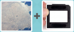 Pictoword level 136 - Map Land Slide