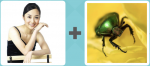 Pictoword level 15 - Girl Lady Woman Yoga Insect Bug