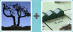 Pictoword level 150 - Tree Dusk Houses