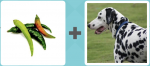 Pictoword level 164 - Chilli Hot Dog Spots