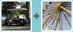 Pictoword level 165 - Buggy Cart Wheel Ride