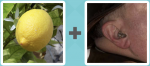 Pictoword level 168 - Lemon Ear Hearing Aid