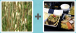 Pictoword level 171 - Grass Meal