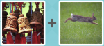 Pictoword level 173 - Bells Ring Rabbit Jump Hop