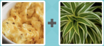 Pictoword level 184 - Egg Omelette Plant Leaves