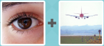 Pictoword level 186 - Eye See Plane Land