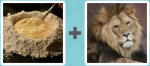 Pictoword level 189 - Flour Mix Lion