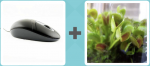 Pictoword level 19 - Mouse Click Plant Weed Venus