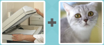 Pictoword level 198 - Copy Paper Scan Cat Purr