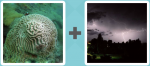 Pictoword level 201 - Brain Storm Flash Thunder Lightning