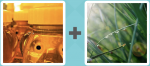 Pictoword level 204 - Jars Grass Reeds