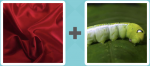 Pictoword level 235 - Silk Caterpillar Worm