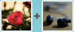Pictoword level 236 - Rose Earbuds