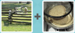 Pictoword level 245 - Pen Sieve Filter Strain