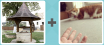Pictoword level 256 - Well Cat Call