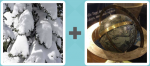 Pictoword level 27 - Snow Tree Globe Earth