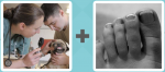 Pictoword level 275 - Vet Dog Toe Foot