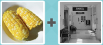 Pictoword level 279 - Corn Waiting Room