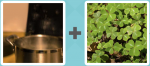 Pictoword level 28 - Pot Pan Cook Steam Clover Plants Green Luck