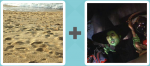 Pictoword level 3 - Beach Sand Witch Evil