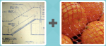 Pictoword level 301 - Plan Blueprint Scheme Net Oranges