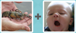 Pictoword level 324 - Bug Insect Baby Yawn