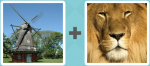 Pictoword level 33 - Windmill Lion
