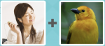 Pictoword level 335 - Peace Music Bird