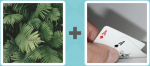 Pictoword level 344 - Tree Ferns Aces Cards