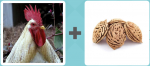 Pictoword level 35 - Chicken Cock Hen Seed Pit Peach