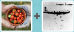 Pictoword level 369 - Tomatoes Bowl Planes Bombs