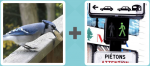 Pictoword level 37 - Bird Bluejay Green Man Walk Go