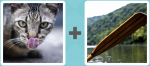 Pictoword level 373 - Cat Lick Tongue Oar Boat Row