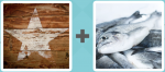 Pictoword level 392 - Star Fish
