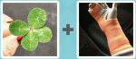 Pictoword level 399 - Plant Bandage Cast