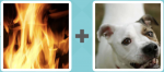 Pictoword level 4 - Fire Flame Dog