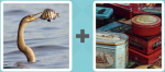 Pictoword level 404 - Caught Eat Fish Tins Cans