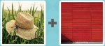 Pictoword level 411 - Hat Straw Blinds Cover