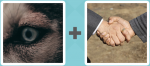 Pictoword level 413 - Eye Shake Hands