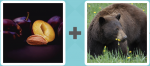 Pictoword level 419 - Peach Stone Bear