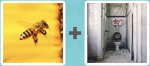 Pictoword level 423 - Bee Wasp Toilet