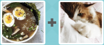 Pictoword level 425 - Broth Ramen Cat Sleep Purr