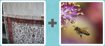 Pictoword level 448 - Loom Wool Fabric Wasp Bee Pollen