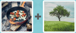 Pictoword level 449 - Stir Fry Pan Tree Grass