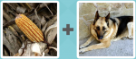 Pictoword level 46 - Sweetcorn Dog